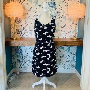 Anne Taylor Loft Dress